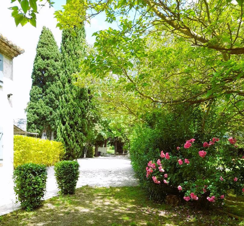 Le Mas Des Vergers Salon-de-Provence Exterior foto